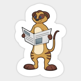 Meerkat at Reading a Newspaper Sticker